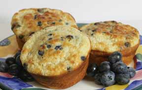 Dixie Diner Protein Power Blueberry Muffin Mix